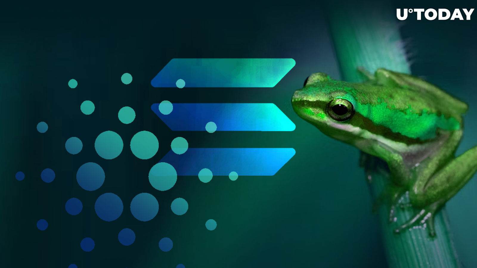 Cardano Founder Strikes Back at Solana Team for Advising Him to Kiss Frogs When Coding