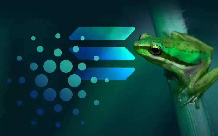 Cardano Founder Strikes Back at Solana Team for Advising Him to Kiss Frogs When Coding