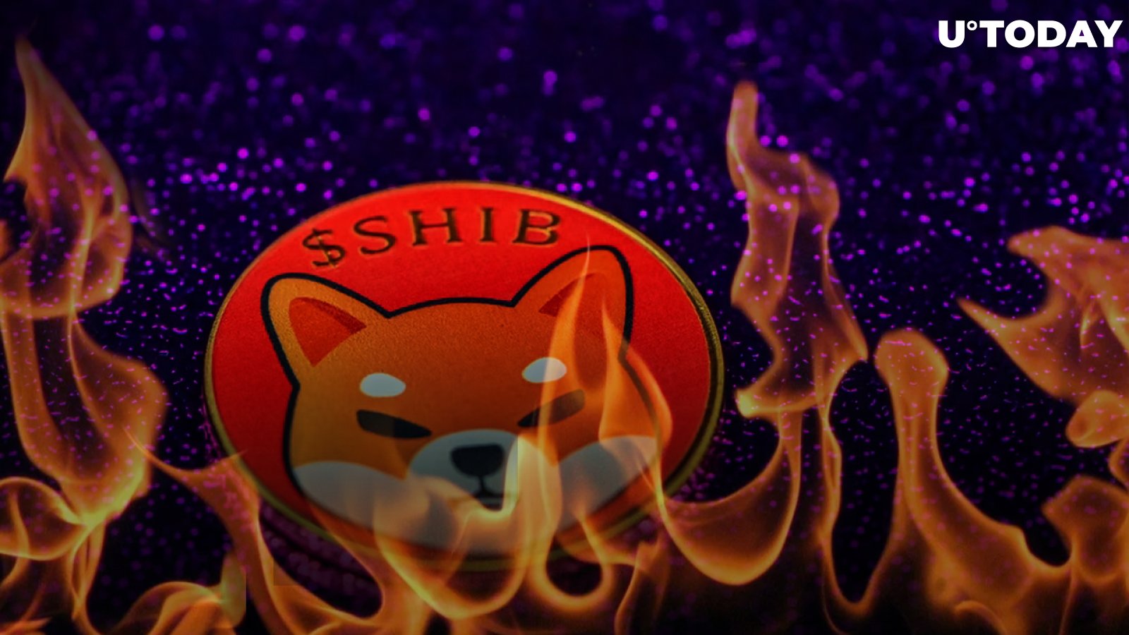 202 Million Shiba Burned as 47 Million SHIB Offered to Lucky Supporter by This Burner
