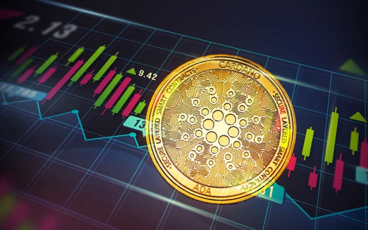 Cardano Records 369% Year-to-Date Increase in Daily On-Chain Transfer Volumes