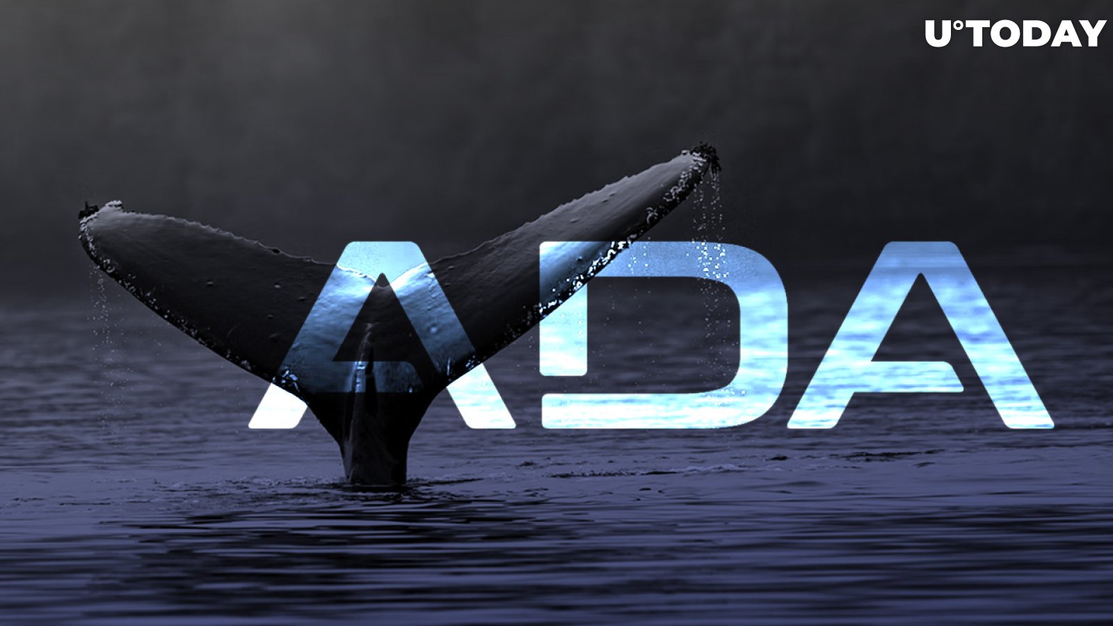 ADA Goes Up As Whales Start Accumulating on The Dip 