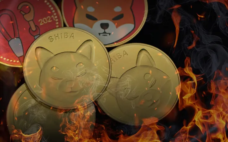 1.1 Billion SHIB Burned in 7 Days as SHIB Is Back on Top 10 Holdings List