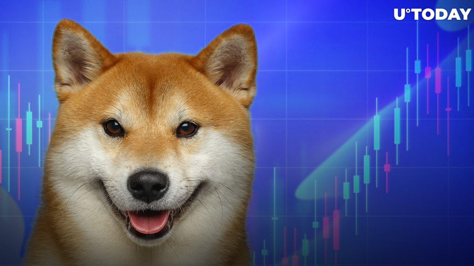 Here's When Shiba Inu's Price Will Start Moving with Higher Volatility, According to Charts