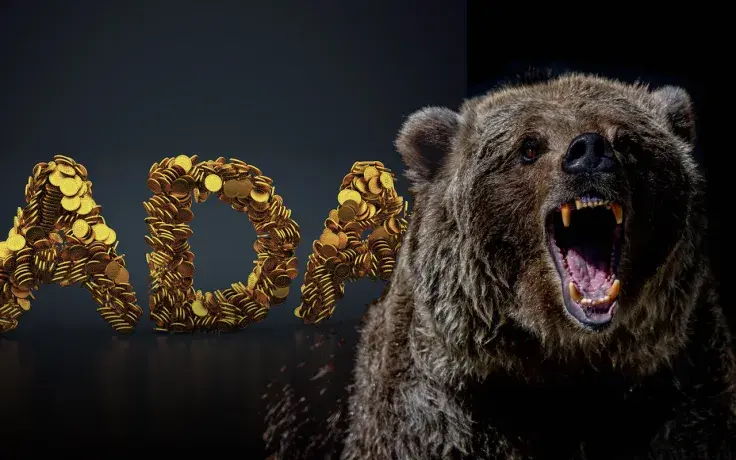 ADA Preferred by Investors in This Bear Market: Survey