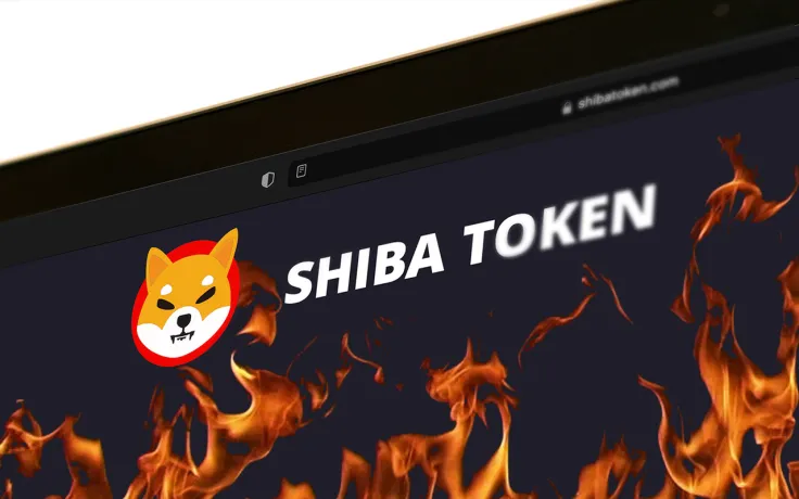 229 Million SHIB Burned in 11 Transactions: Report