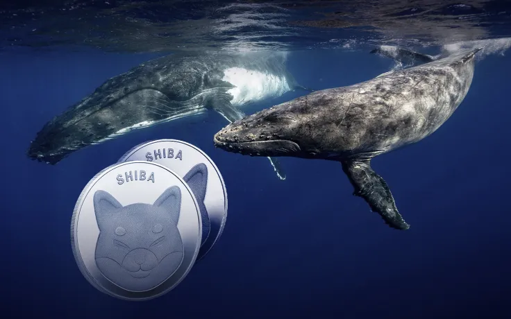 187 Billion SHIB Grabbed by "BlueWhale0159" Whale as Shiba Price Keeps Falling 