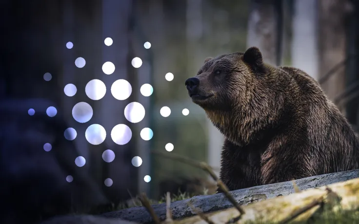 Cardano Creator Says Bear Markets Are "Quite Comfortable"