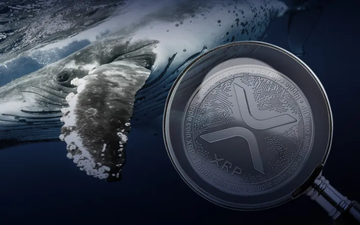 XRP Becomes Most Wanted Crypto by BSC Whales: Details