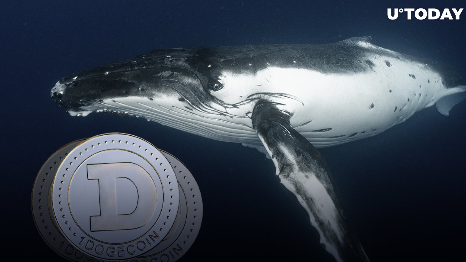 400 Million Dogecoin Bought by Whale as Price Nears Historic Support