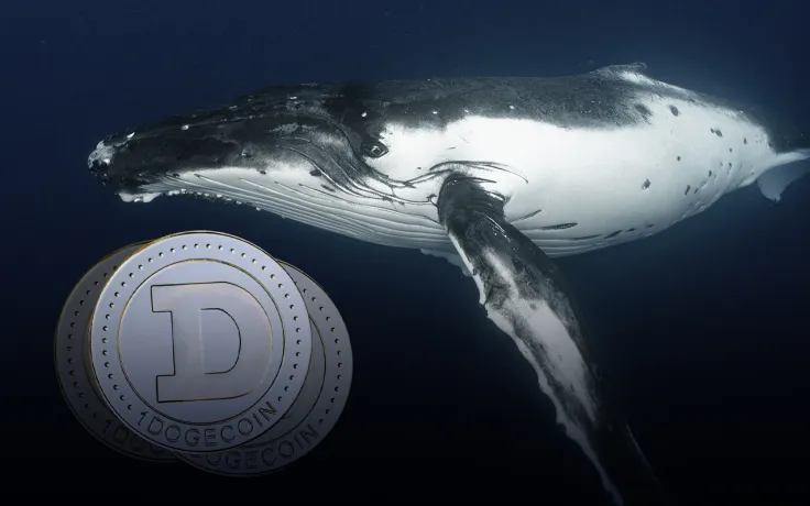 400 Million Dogecoin Bought by Whale as Price Nears Historic Support