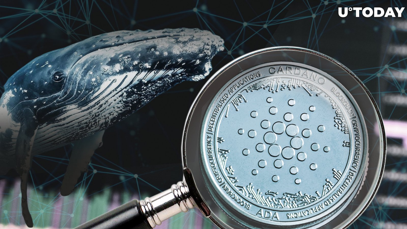 Cardano’s ADA Now Among Most Wanted Assets by Top BSC Whales