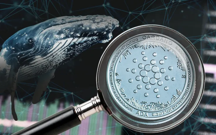 Cardano’s ADA Now Among Most Wanted Assets by Top BSC Whales