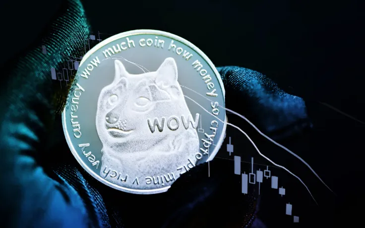 DOGE Coin Crashes 92% from Elon Musk-Driven ATH
