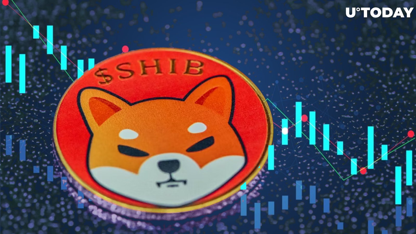 Shiba Inu Traders Experienced Lower Liquidations Than Other Altcoins Amid 12% Drop; Here's Why