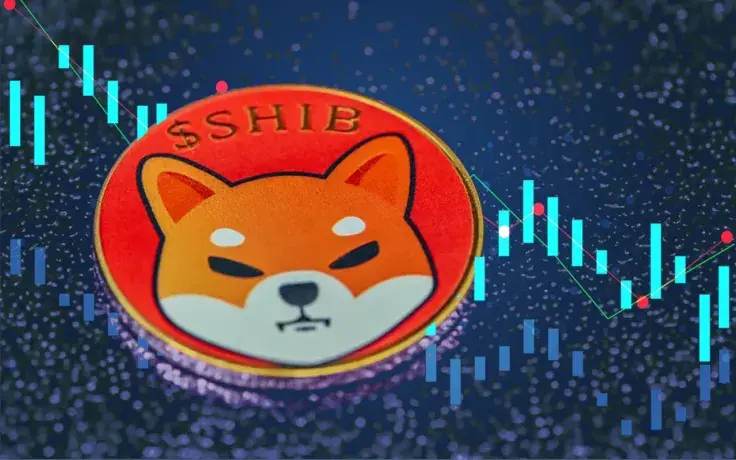 Shiba Inu Traders Experienced Lower Liquidations Than Other Altcoins Amid 12% Drop; Here's Why