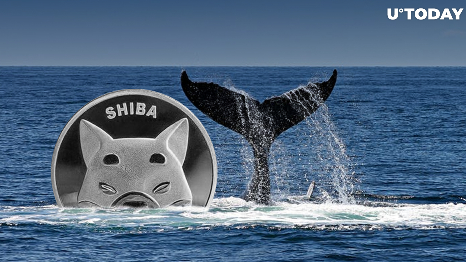 356 Billion SHIB Bought by This Whale as Token Rises 6% Among Crypto Massacre