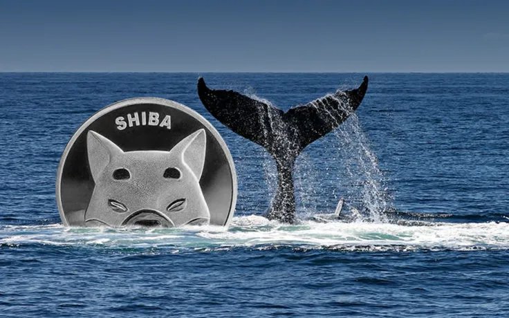 356 Billion SHIB Bought by This Whale as Token Rises 6% Among Crypto Massacre