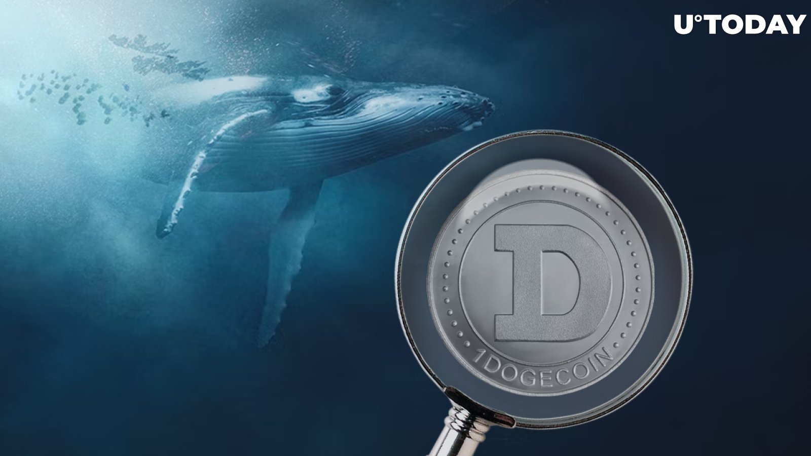 Dogecoin Now Most Wanted Coin by BNB Whales as DOGE Enters "Extreme Fear" Zone