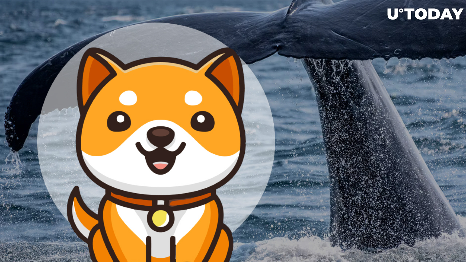 BabyDoge Returns as Most Popular Smart Contract as 2.6 Quadrillion Tokens Get Burned