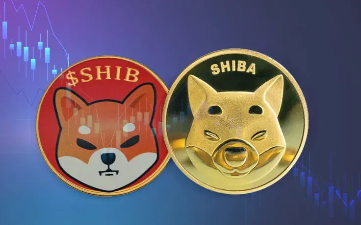 Shiba Inu Price Drops to Ten-Month Lows, Indicating This Historical Trend