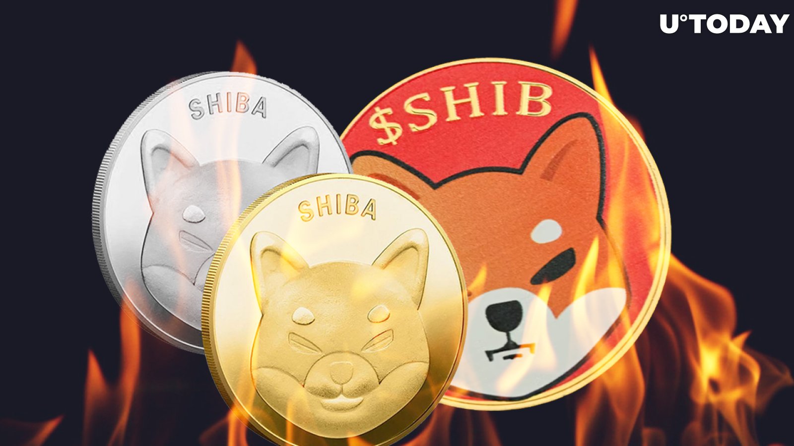 316 Million SHIB Burned in 2 Days, While SHIB Surpasses FTT on Top 10 Holdings List
