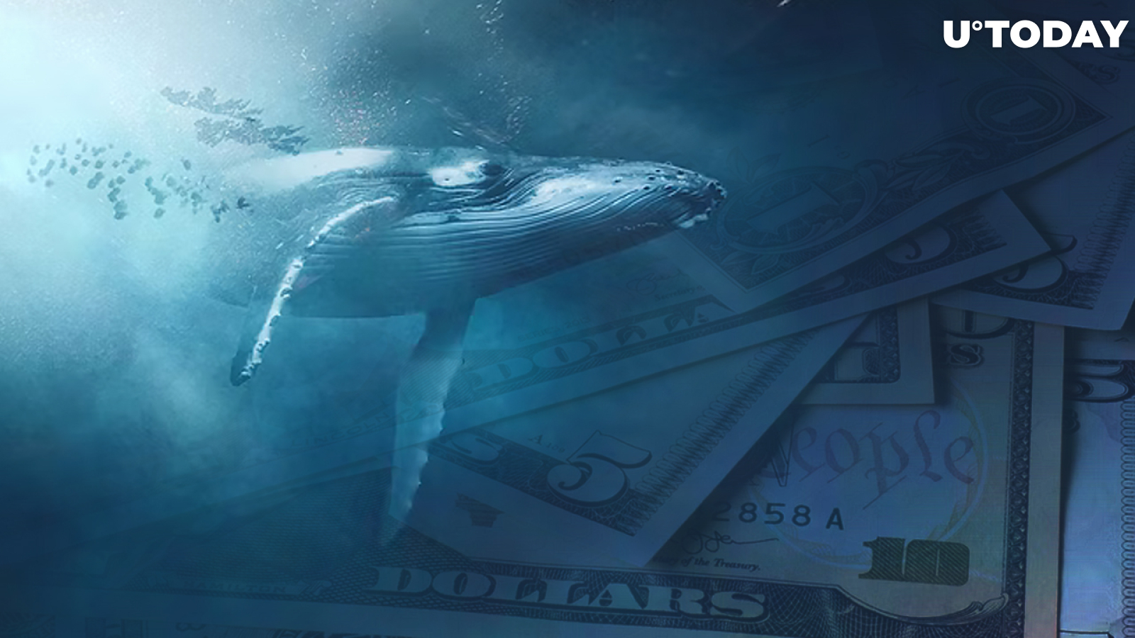 Largest Whale Inflow of $116,000 BTC Spotted; What Might It Mean for Price?