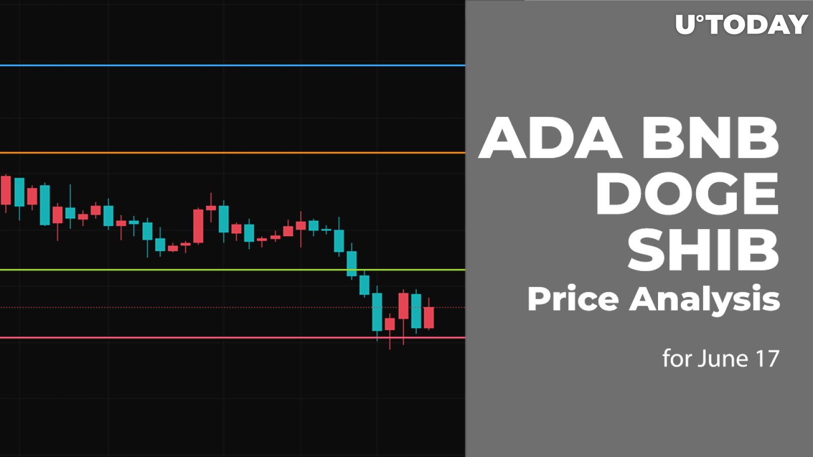 ADA, BNB, DOGE and SHIB Price Analysis for June 17