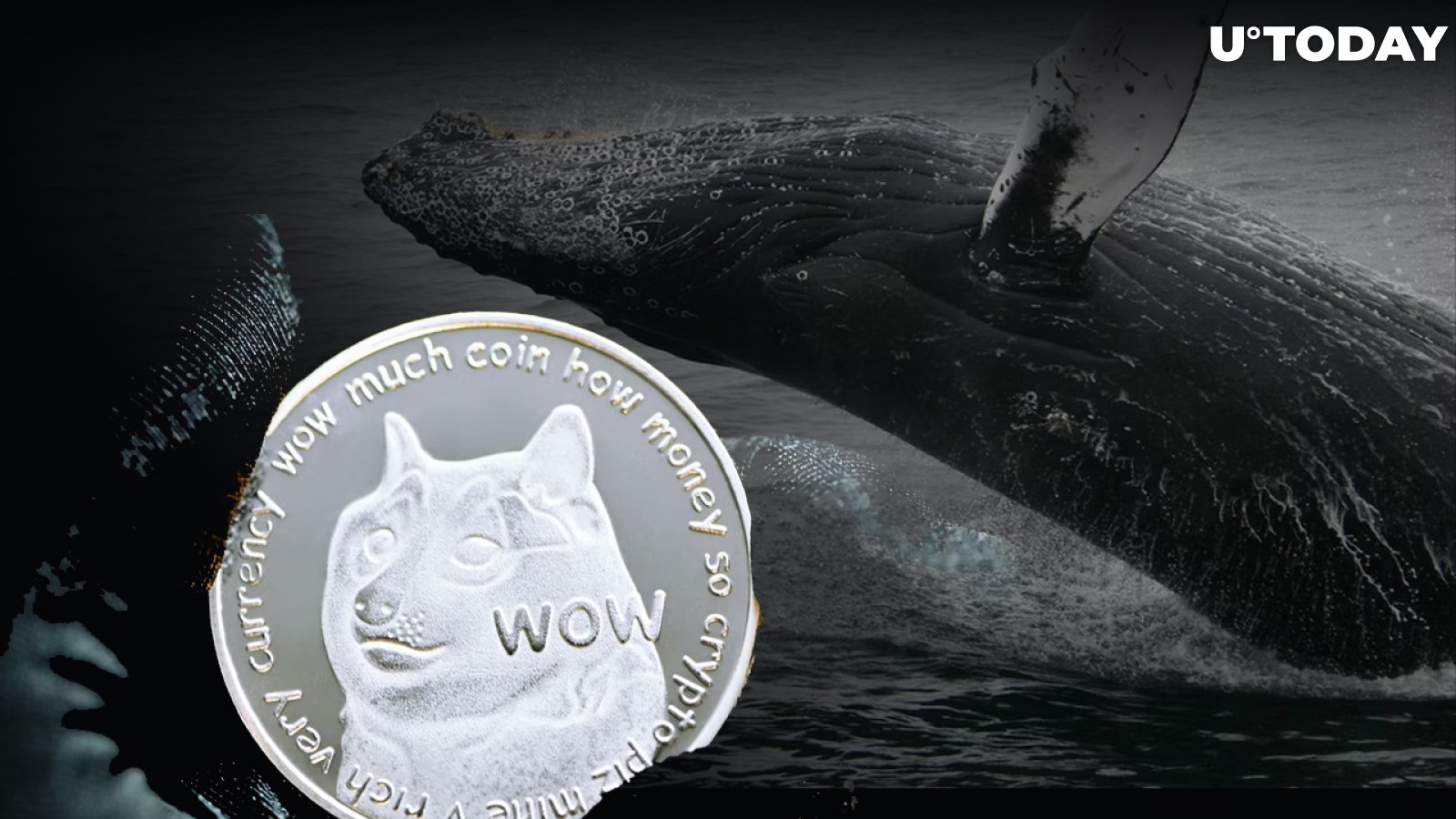 Dogecoin Faces Buying Pressure from Whales; Large Transactions Jump 68%