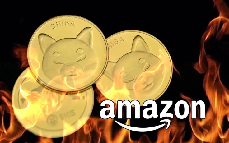 More Than 70 Million SHIB Burned Via Amazon This Sunday