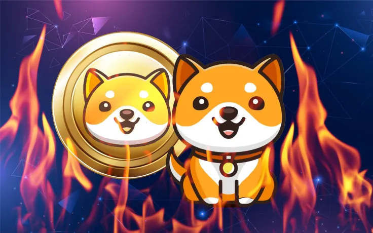 14.2 Trillion BabyDoge Burned in Past 24 Hours, 46.68% of Supply Destroyed in Total