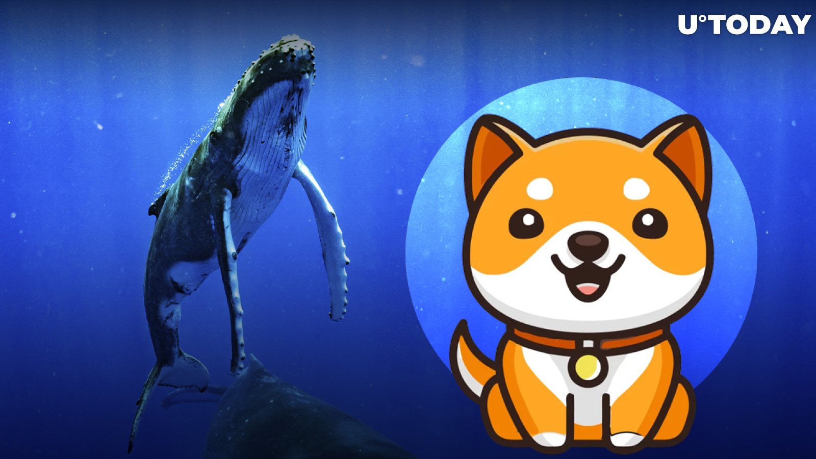 BabyDoge Becomes Top 10 Most Purchased Coin for BSC Whales