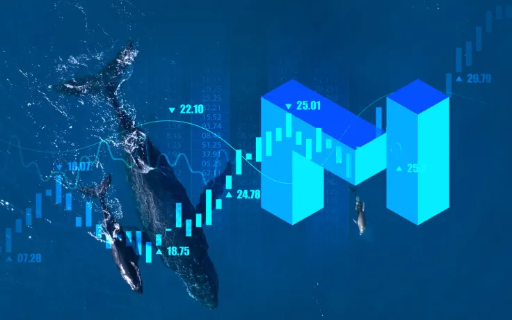 MATIC Soars 23.19% as Whale Wallets Show Sharp Rise of 8.7% Over Last 6 Weeks