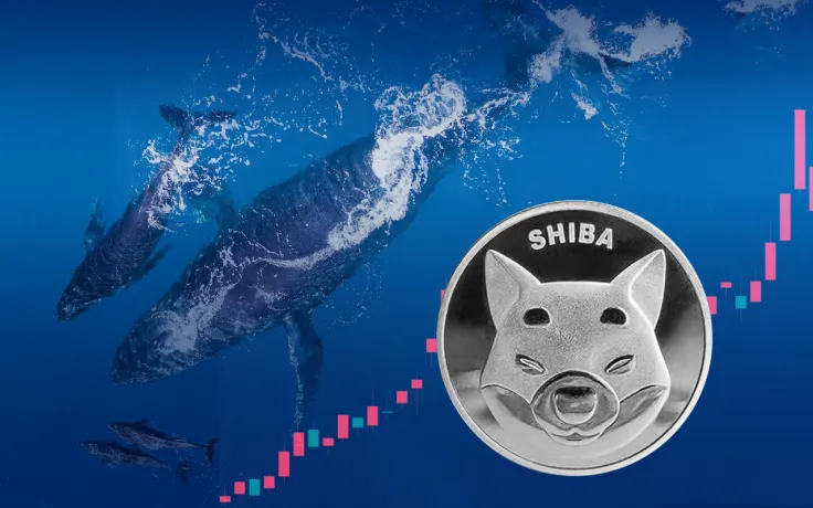 Shib Enters Top 10 Trading Volume List as Whale Buys 163 Billion SHIB