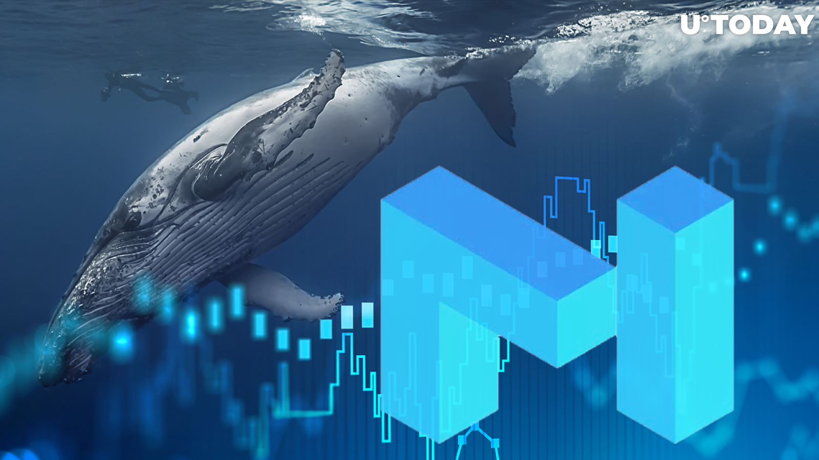 15 Million MATIC Bought by ETH Whale as Token Rises 26% in Past 3 Days