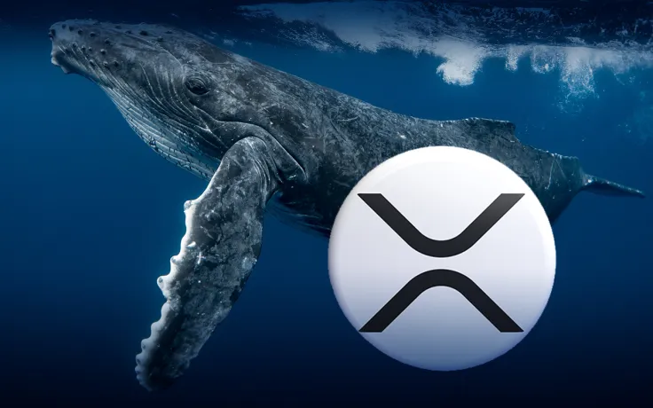 18 Million Worth of XRP Now Controlled by Largest BSC Whales: Details