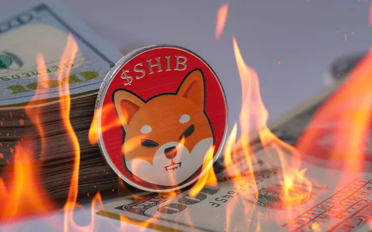 134 Million SHIB Burned, While Shiba Inu Holds as Largest Asset in USD