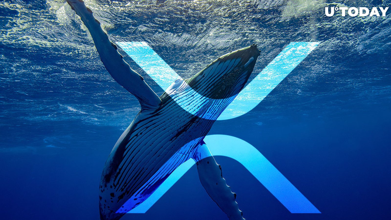 Record 574 Million XRP Moved, 270 Million Shifted by Anon Whale in Single Chunk