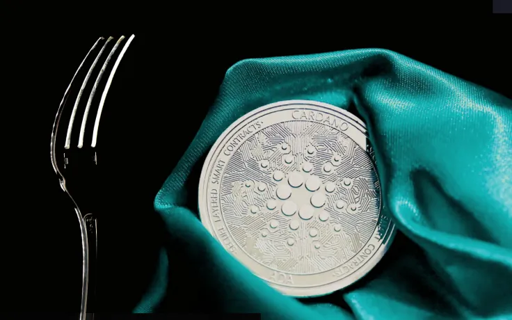 Cardano Developers Postpone Vasil Hard Fork 