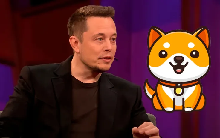 "Forever Grateful": BabyDoge Community Celebrating Anniversary of Musk Tweet