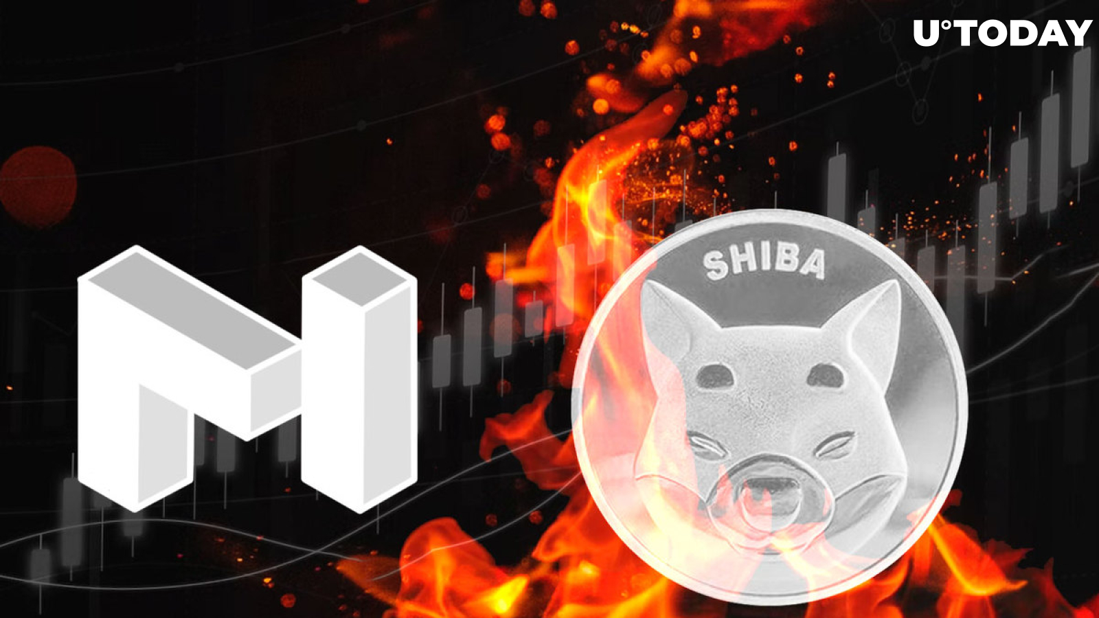 Shiba Inu Burned Coins Exceed Market Cap of MATIC with $4 Billion Worth of Tokens Destroyed