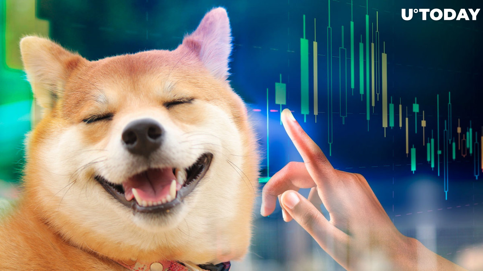 Shiba Inu's Lead Dev Has Something to Say to SHIB Community; Price Consolidates at Support