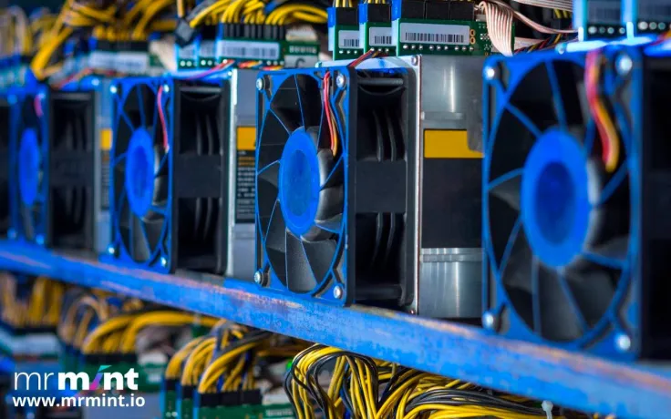 Mr Mint ($MNT) Public Sale Goes Live on July 1st, 2022