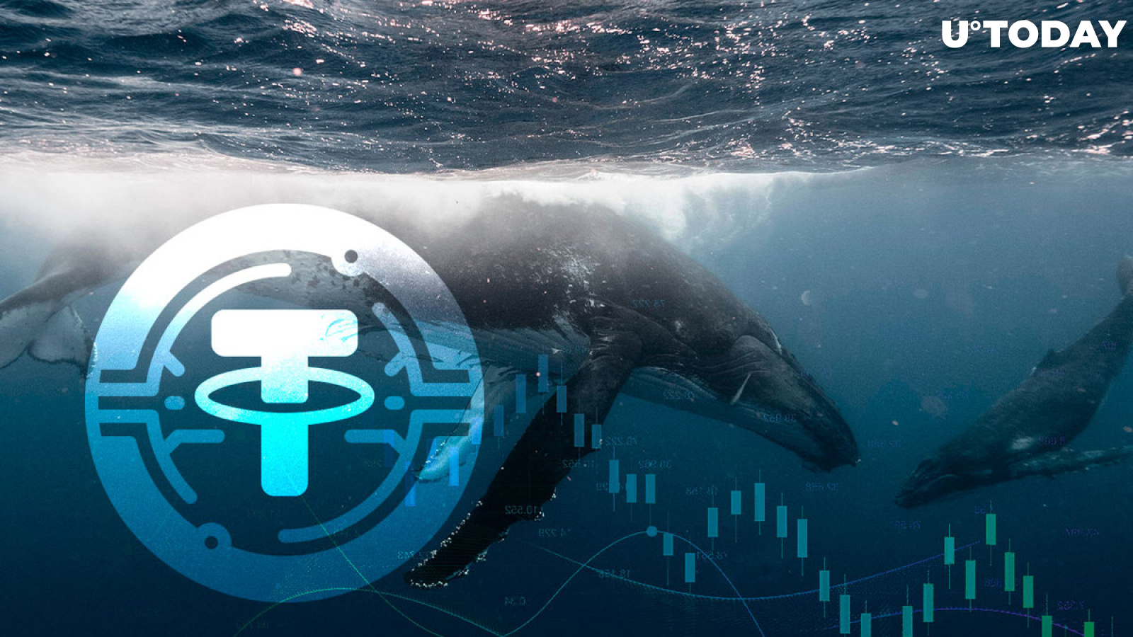 This Is Why Cryptocurrency Market Can't Go Up: Tether Whales' Supply