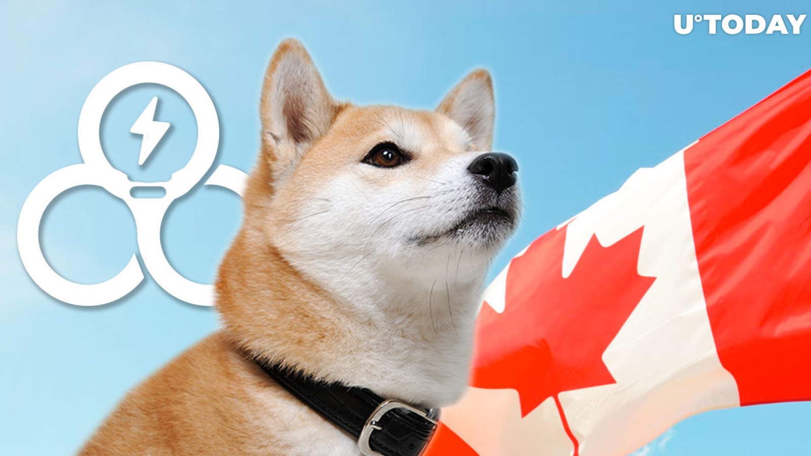 SHIB, LEASH and BONE List on Canadian Crypto Payments Platform: Details