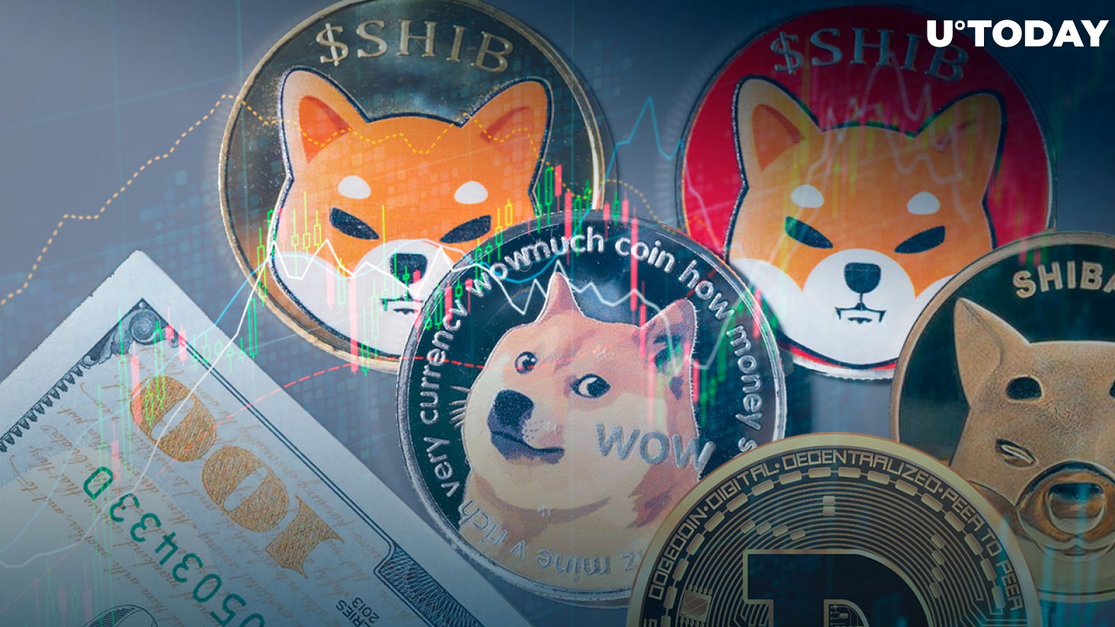 Dogecoin and Shiba Inu Remain Among Most Popular Cryptocurrencies in U.S.