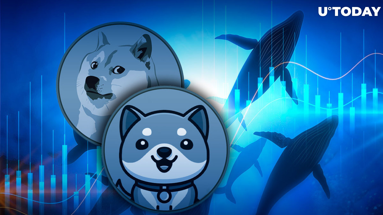 Meme Coins BabyDoge, Dogecoin Chosen by BSC Whales as Top Smart Contracts