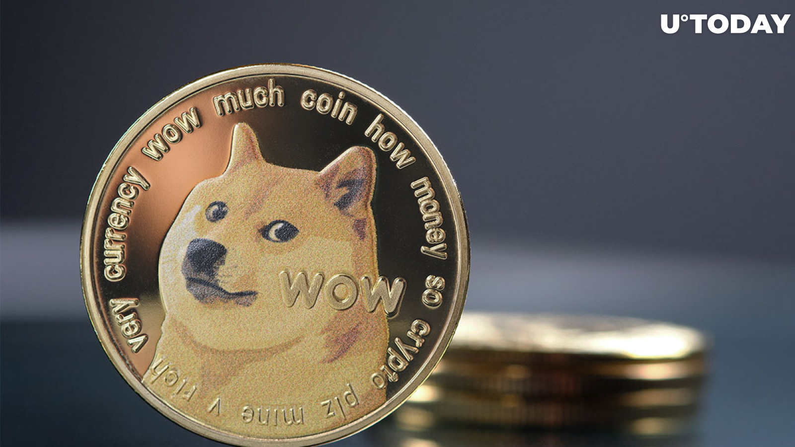 Dogecoin Developer Shows a "Real" DOGE Use Case; Here's What Transpired