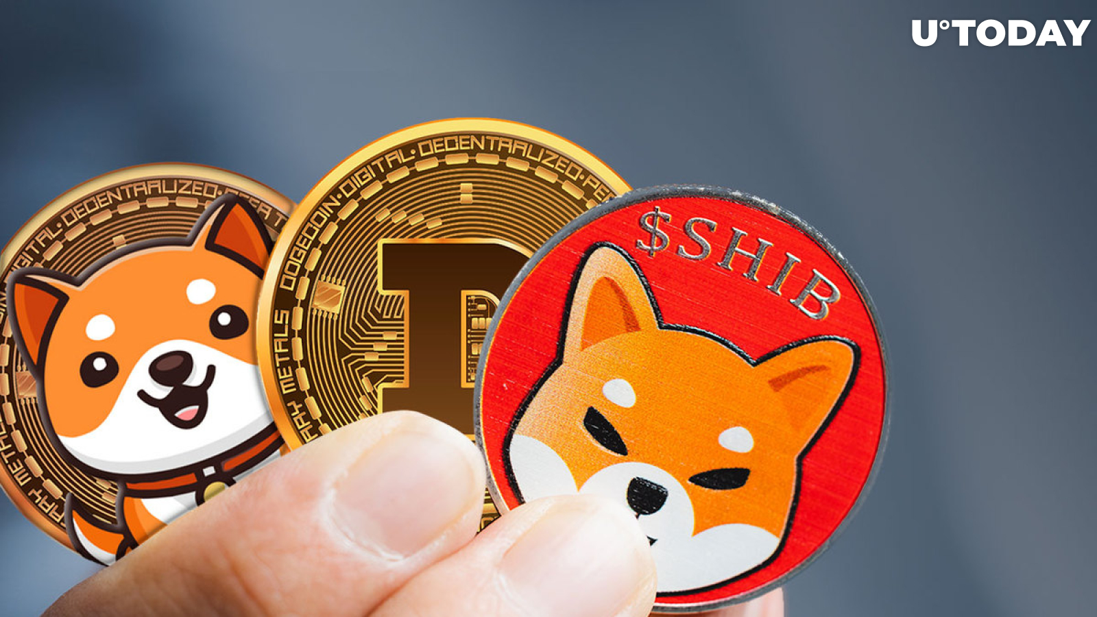 SHIB, DOGE and BabyDoge: How Do Community Favorites Perform?