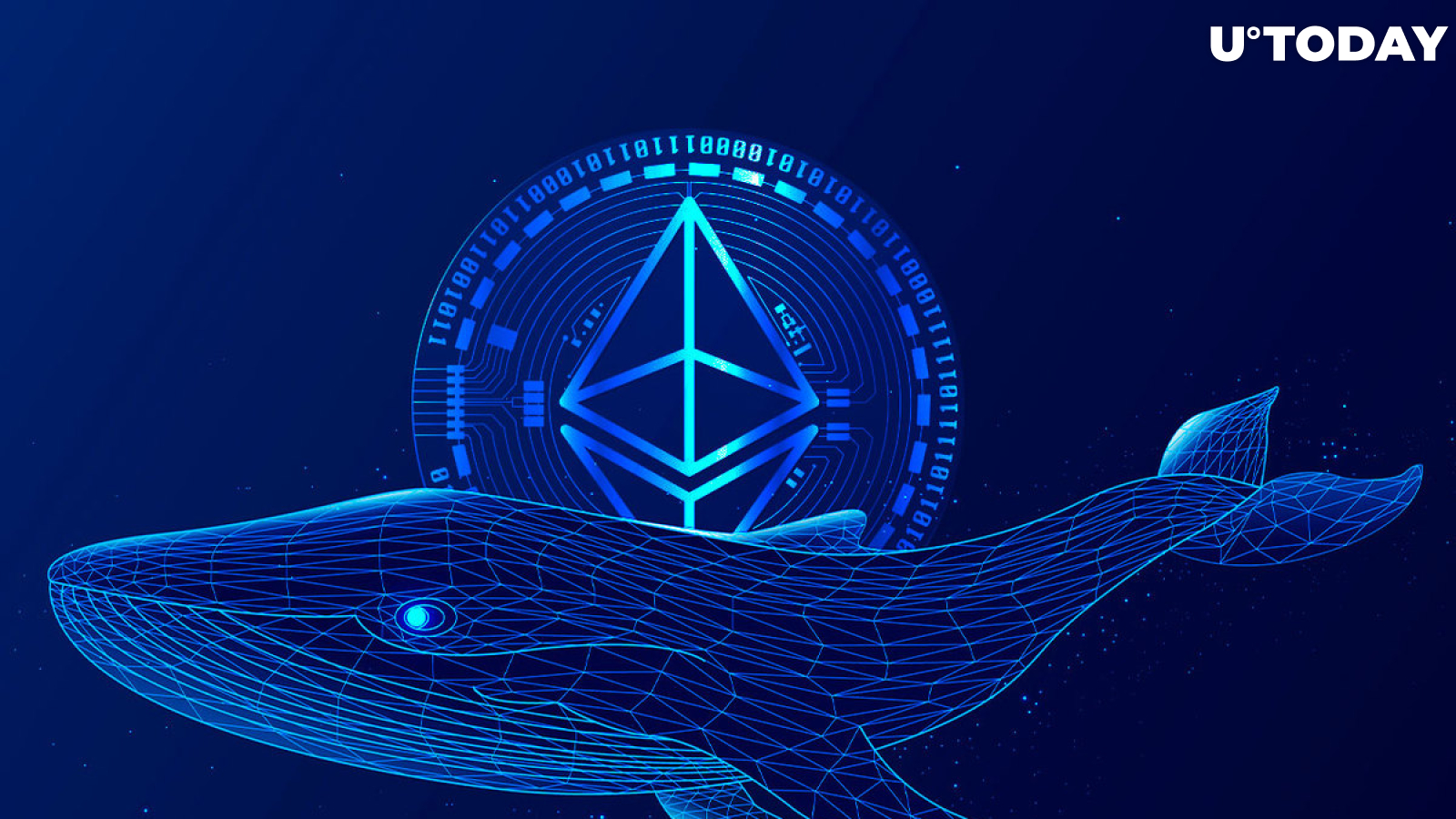 Massive Amount of Ethereum Whales Returned to Market After 15% Price Spike