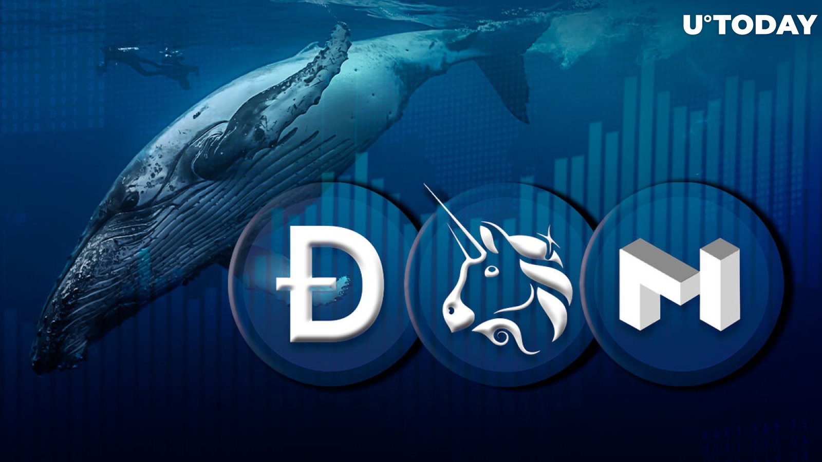 DOGE, MATIC and UNI on Solid Rise Fueled by Large Whale Transactions